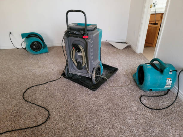 Best Water damage contractors near me  in Glenside, PA