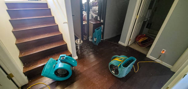 Best Carpet water damage restoration  in Glenside, PA