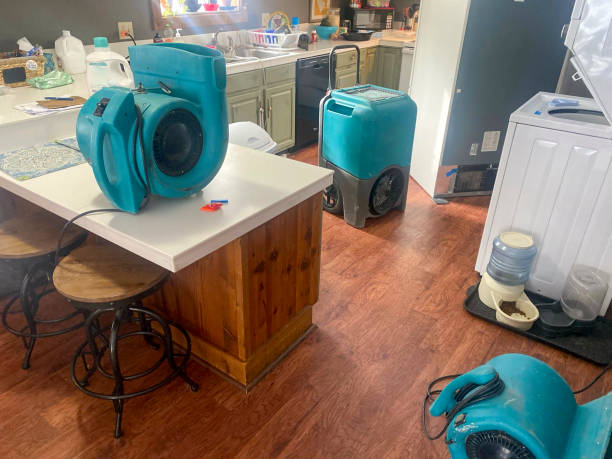 Best 24/7 water damage repair  in Glenside, PA