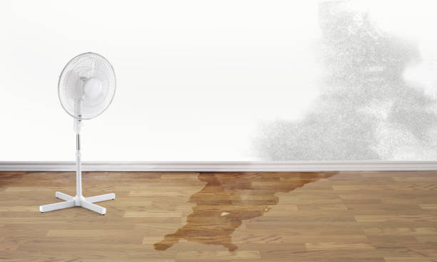Best Flood damage cleanup  in Glenside, PA