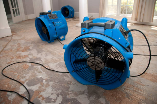 Best Water damage contractors near me  in Glenside, PA