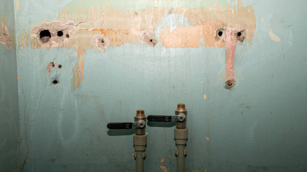 Best Emergency water damage restoration  in Glenside, PA