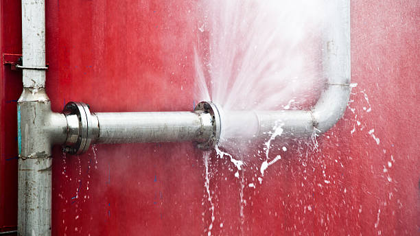 Best Mold removal after water damage  in Glenside, PA